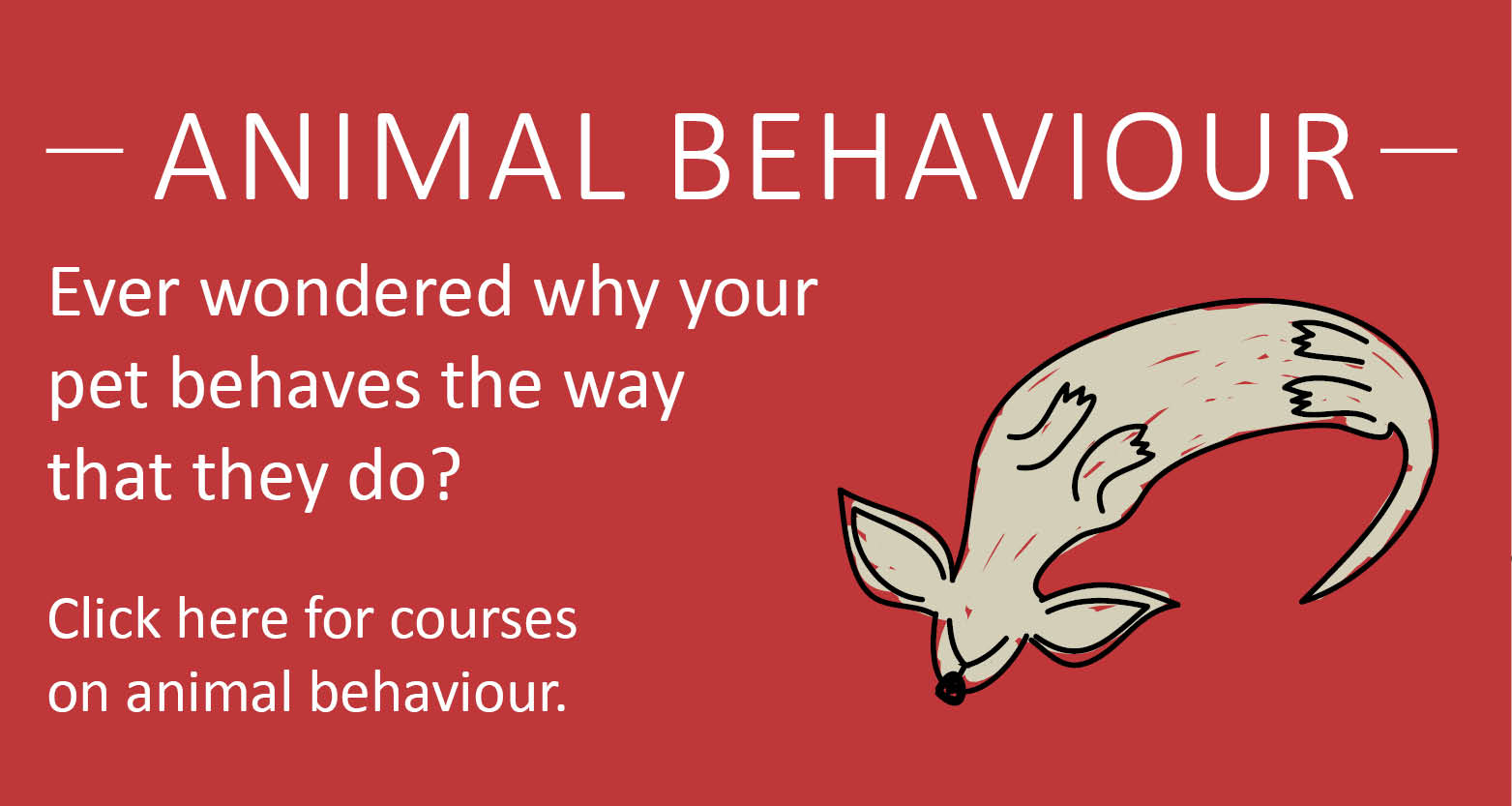 courses in Animal Behaviour